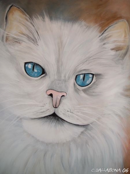 2006 - Samtpf�tchen