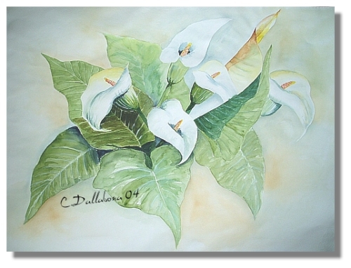 Kalla-Blumenstrauss I / 2004