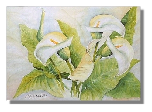 Kalla -Blumenstrauss II / 2004